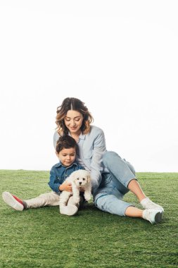smiling mother and son looking at Havanese puppy isolated on white