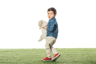 cute boy holding Havanese puppy and looking at camera isolated on white 