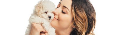 panoramic shot of smiling woman holding Havanese puppy isolated on white