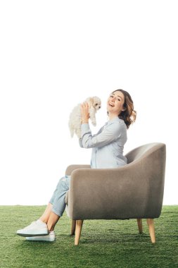smiling woman holding Havanese puppy and sitting on armchair isolated on white