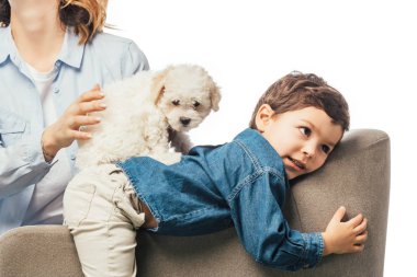 cropped view of mother holding Havanese puppy and son lying on armchair isolated on white