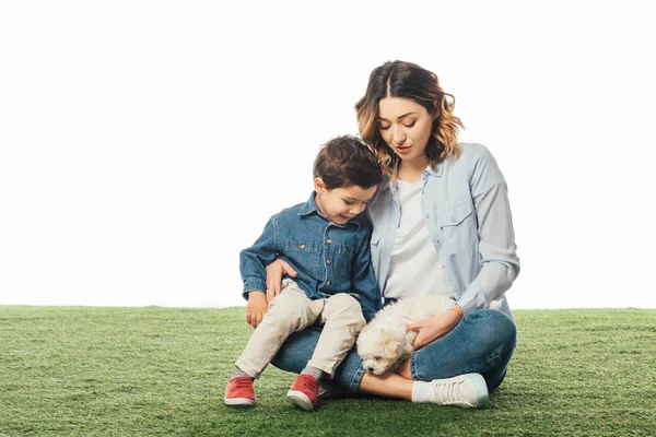 Madre Sonriente Hijo Mirando Havanese Cachorro Aislado Blanco — Foto de Stock