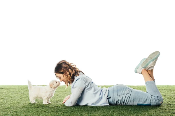 Side View Woman Looking Havanese Puppy Lying Grass Isolated White — Stockfoto