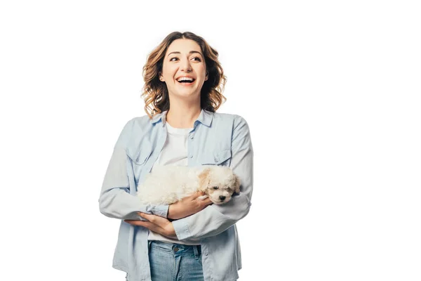 Mujer Sonriente Sosteniendo Lindo Cachorro Havanese Aislado Blanco —  Fotos de Stock