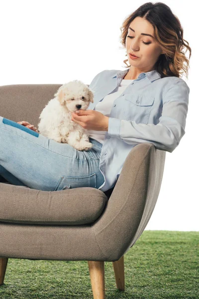 Mujer Acariciando Cachorro Havanese Sentado Sillón Aislado Blanco — Foto de Stock