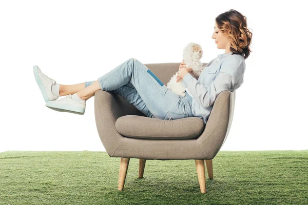 Side View Woman Holding Havanese Puppy Sitting Armchair Isolated White — ストック写真