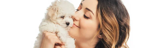 Tiro Panorâmico Mulher Sorridente Segurando Filhote Cachorro Havaiano Isolado Branco — Fotografia de Stock