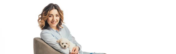 Panoramic Shot Smiling Woman Holding Havanese Puppy Sitting Armchair Isolated — 스톡 사진