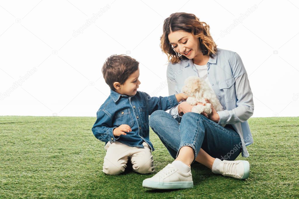 smiling mother holding Havanese puppy and son stroking it isolated on white