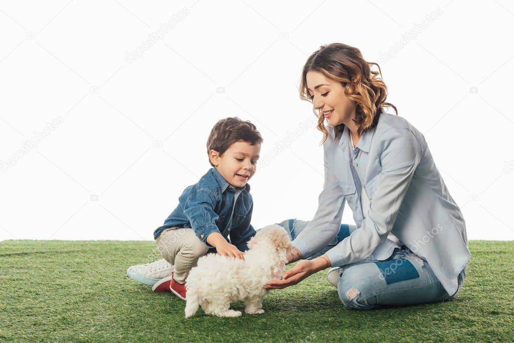 smiling mother and son stroking Havanese puppy isolated on white