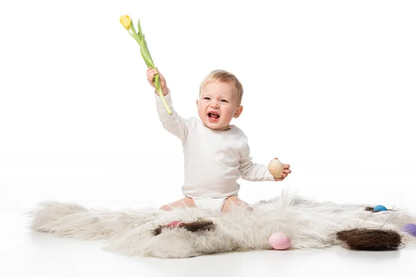 Child Open Mouth Holding Tulip Easter Egg Sitting Fur White — Stock Photo, Image