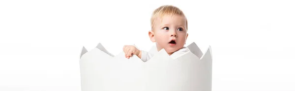 Cute Child Looking Away Open Mouth Eggshell Isolated White Panoramic — Stock Photo, Image