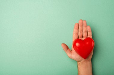 Top view of decorative red heart in man hand on green background, world health day concept clipart