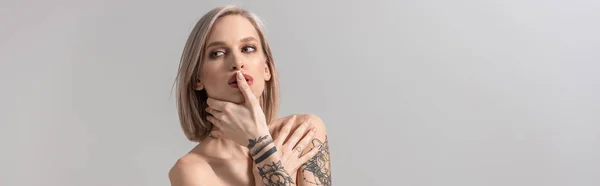 Sexy Joven Topless Mujer Tatuada Posando Aislado Gris Tiro Panorámico —  Fotos de Stock