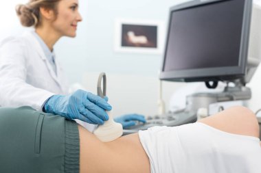 Profesyonel doktor böbreği inceliyor ve klinikteki ultrason taramasına bakıyor.  