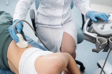 Profesyonel doktorun ultrason taramasıyla kadın hastanın böbreğini incelemesi kısmen görülebilir. 