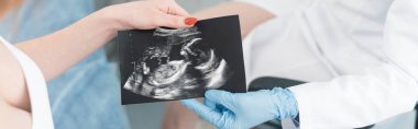 panoramic shot of doctor giving ultrasound scan to pregnant woman  clipart