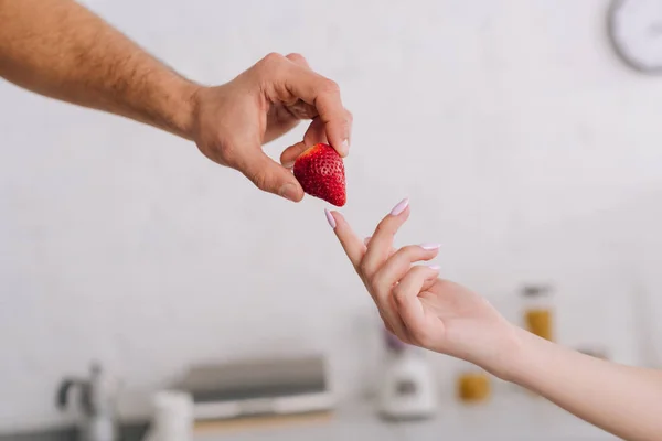 Cropped View Man Giving Strawberry Woman — Stock Photo, Image