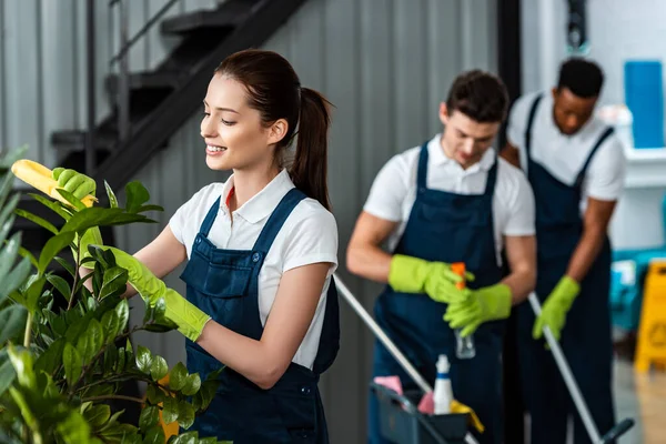 Selective Focus Smiling Cleaner Wiping Plants While Colleagues Working Background — Stock Photo, Image