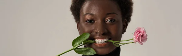 Panoramatický Záběr Veselý Africký Američan Žena Držení Eustoma Květiny Zubech — Stock fotografie