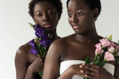 Çekici Afrikalı Amerikalı kadınlar üstlerinde pembe ve mor çiçekler tutuyorlar. Gri üzerinde izole edilmiş.
