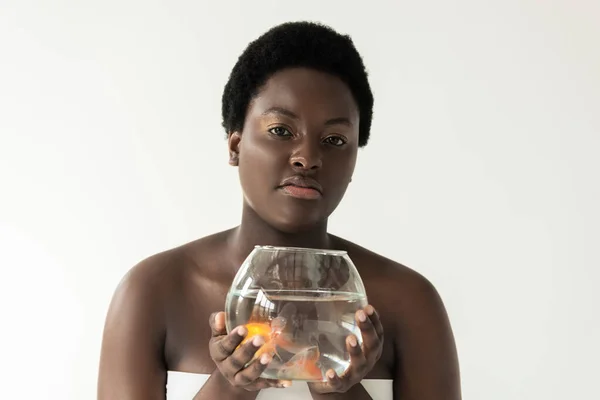 Attractive African American Girl Holding Aquarium Fish Isolated Grey — Stock Photo, Image