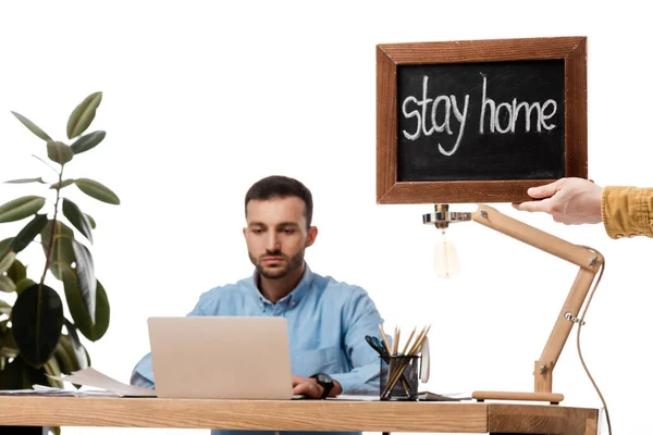 Bearded Freelancer Using Laptop Plant Chalkboard Stay Home Lettering Isolated — Stock Photo, Image