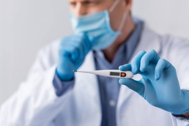 selective focus of mature doctor in latex gloves holding digital thermometer and coughing isolated on grey clipart