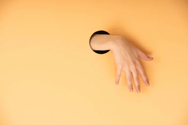 Cropped View Woman Hand Hole Orange — Stock Photo, Image