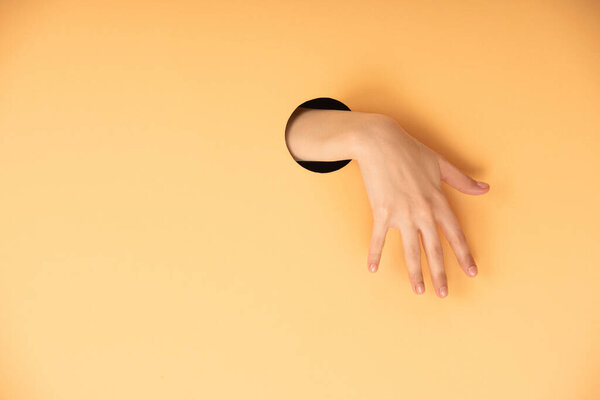 cropped view of woman hand in hole on orange 