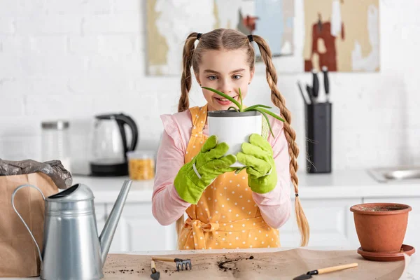 Lindo Niño Sosteniendo Maceta Con Aloe Sonriendo Cerca Mesa Cocina — Foto de Stock