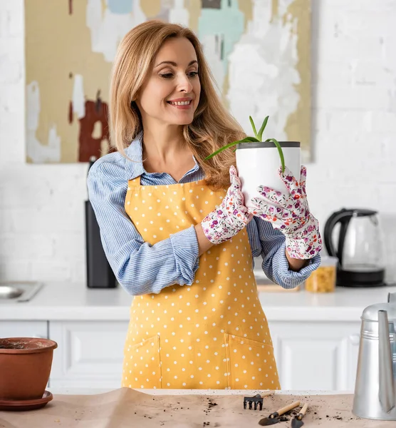 Donna Che Guarda Vaso Fiori Con Aloe Sorridente Vicino Tavolo — Foto Stock