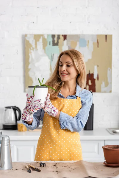 Mulher Bonita Olhando Para Vaso Com Aloés Sorrindo Perto Mesa — Fotografia de Stock