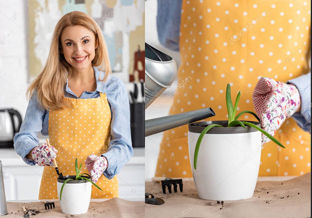 Collage of woman with shovel and flowerpot with plant near table smiling, looking at camera and watering aloe in kitchen