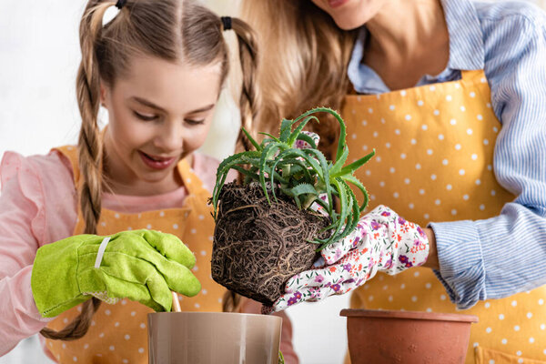 Mother putting aloe to flowerpot near happy daughter with gardening tool in kitchen