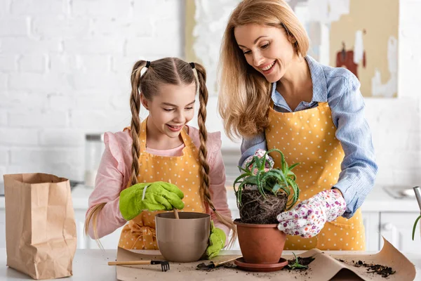 Kvinna Med Söt Barn Omplantering Aloe Nära Bord Kök — Stockfoto