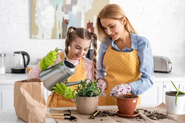 Lindo Niño Riego Aloe Con Madre Cerca Mesa Con Bolsa — Foto de Stock