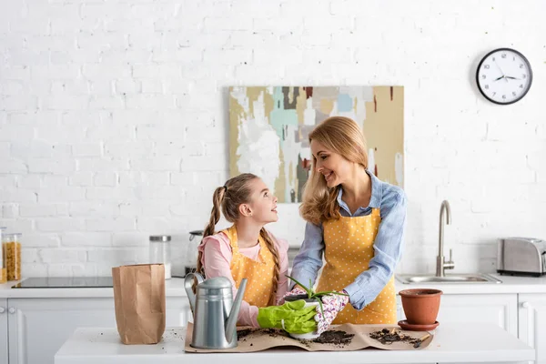 Madre Linda Hija Mirándose Tocando Maceta Con Aloe Cerca Olla — Foto de Stock