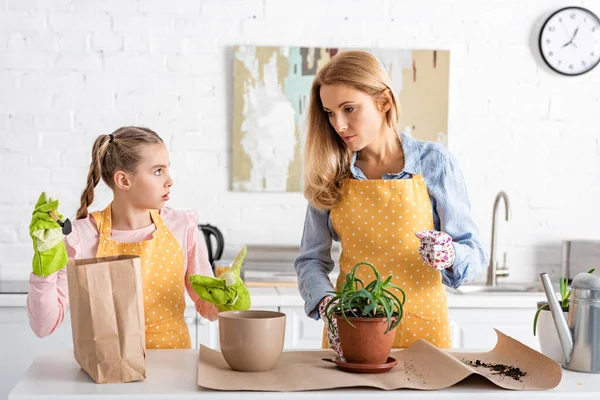 Çiçek saksısını işaret eden bir kürekle kafası karışmış kızı ve mutfak masasının yanındaki aloe kaplı anneye bakıyor.