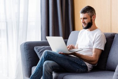 Oturma odasındaki kanepede dizüstü bilgisayar kullanan yakışıklı bir tele-işçi.