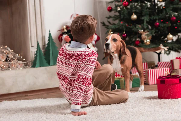 Niño y beagle perro en Navidad - foto de stock