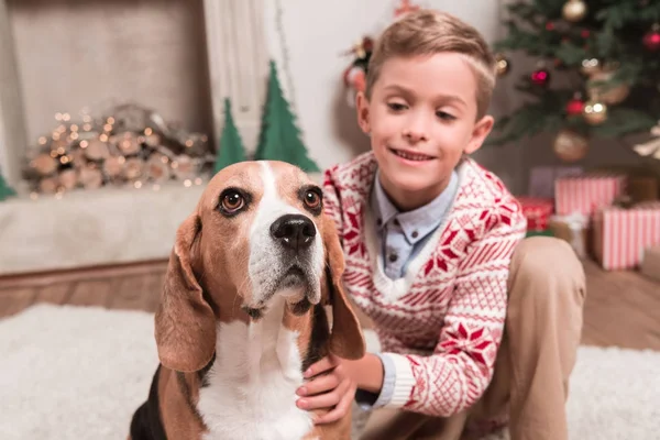 Niño con perro beagle en Navidad - foto de stock