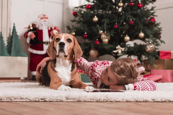 Niño con perro beagle en Navidad - foto de stock