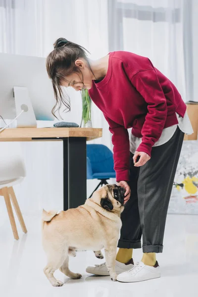 Menina jovem atraente e bonito cão de pug por mesa de trabalho — Fotografia de Stock