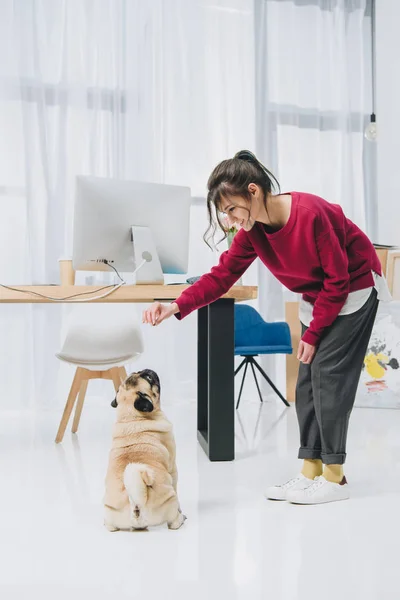 Muchacha joven atractiva jugando con el perro mascota de la oficina en casa - foto de stock