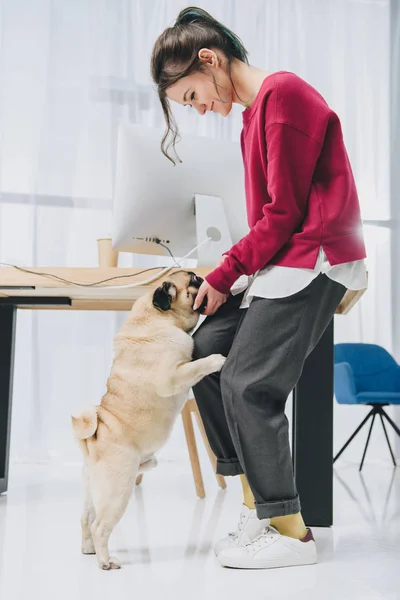 Hübsche Dame und süßer Mops-Hund am Arbeitstisch — Stockfoto