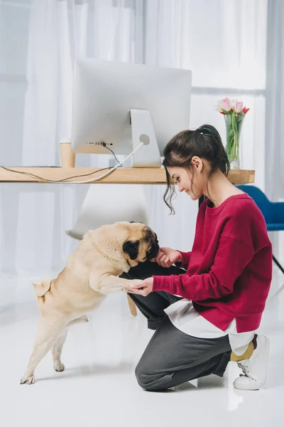 Pretty lady playing with pug by working table in cozy room — Stock Photo