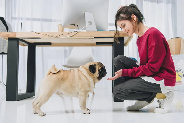 Mujer joven jugando con pug por mesa de trabajo - foto de stock