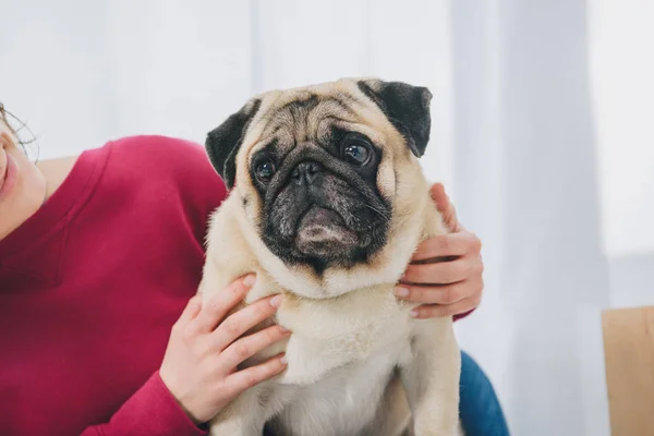 Close-up view of young woman hugging pug — Stock Photo