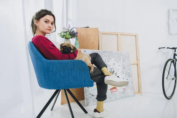 Guapa dama abrazando pug en silla en habitación moderna - foto de stock